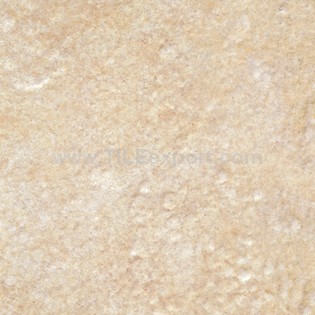 Floor_Tile--Ceramic_Tile,300X300mm[HT]
